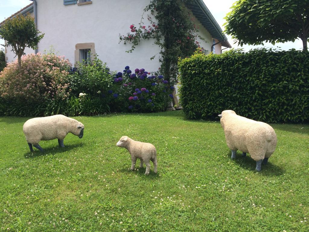 Les Volets Bleus Arcangues Exterior foto